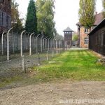 Campo de Auschwitz